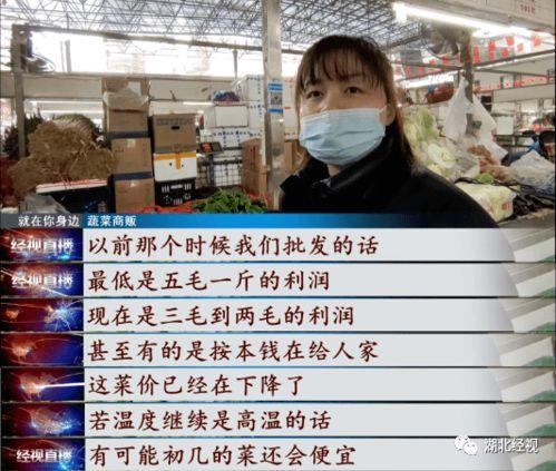 武汉菜价爆料视频,最新爆料视频揭示市场动态 第1张 武汉菜价爆料视频,最新爆料视频揭示市场动态 第1张