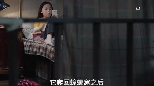 印度小姐姐爆料视频播放,爆款视频背后的真实故事 第2张 印度小姐姐爆料视频播放,爆款视频背后的真实故事 第2张