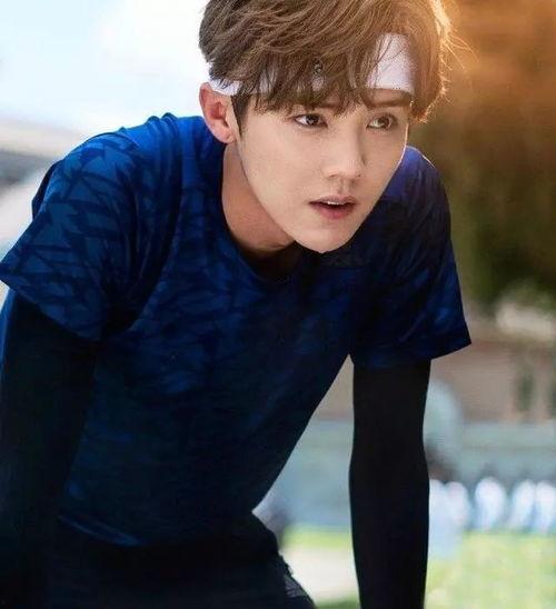 鹿晗最新小料爆料,揭秘神秘小料背后的惊喜与期待  第3张